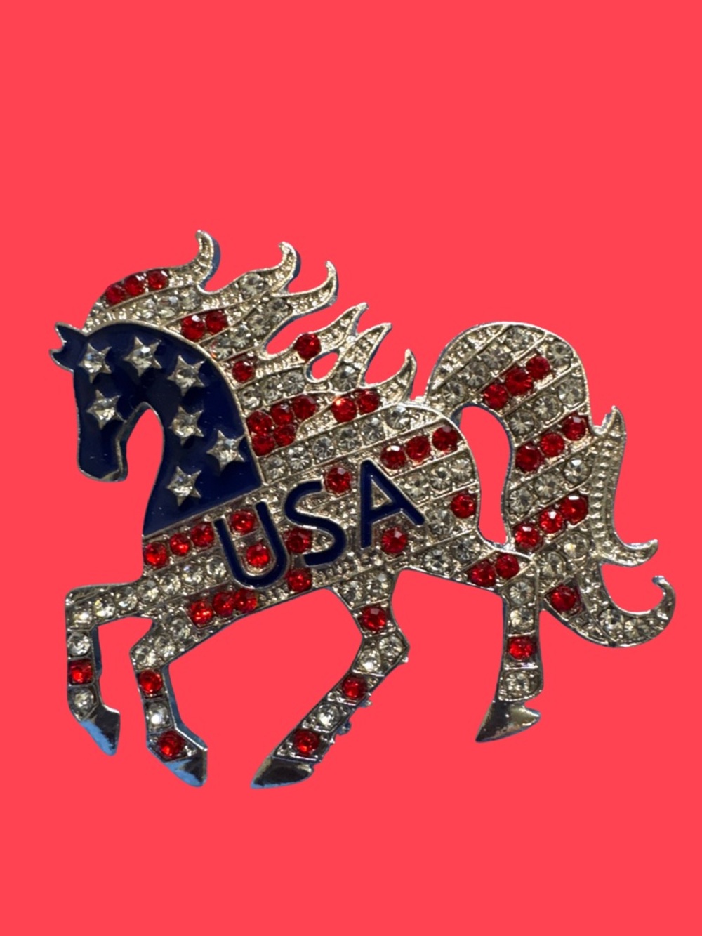 Brooch with American motive